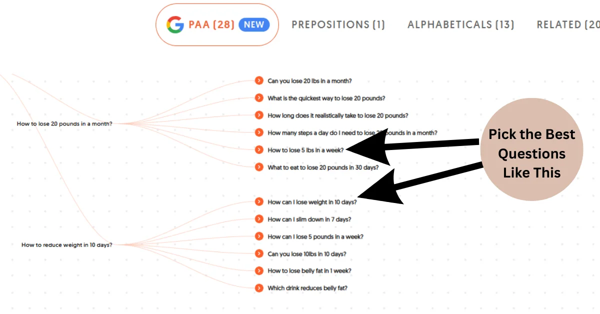 Pick the Best Questions On AnswerThePublic