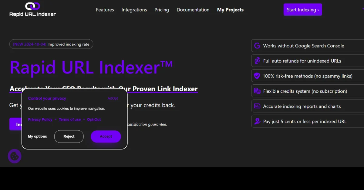 Overview of Rapid URL Indexer 
